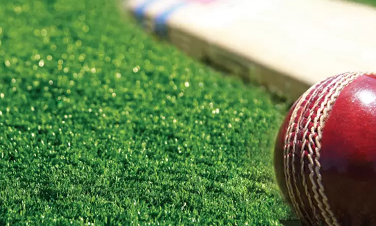 Synthetic Cricket Wicket Maintenance